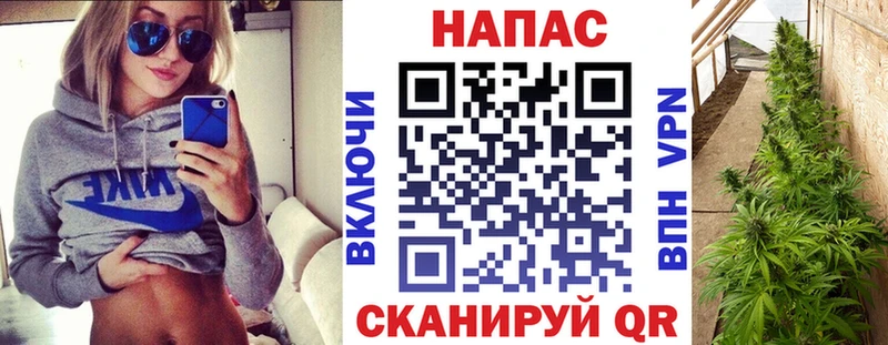 Псилоцибиновые грибы Бородино