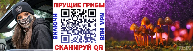 Галлюциногенные грибы Psilocybe  как найти закладки  Бородино 