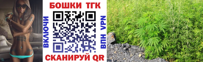 Канабис сатива  Бородино 